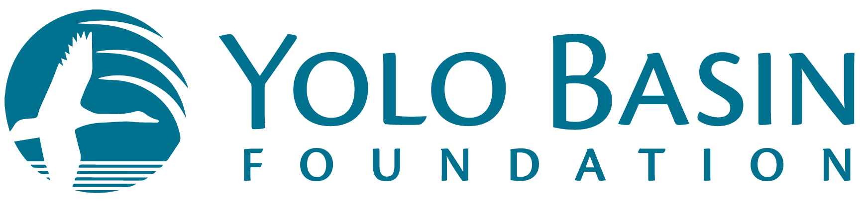 Yolo Basin Foundation